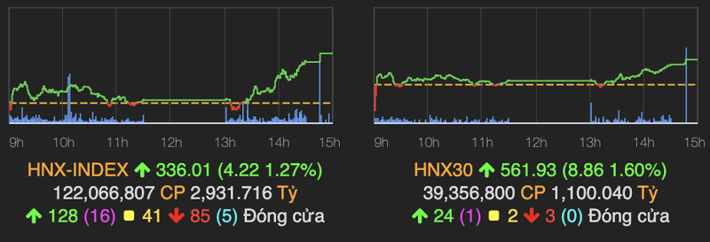 Nhom chung khoan but pha tro lai, VN-Index tang them 11 diem-Hinh-2