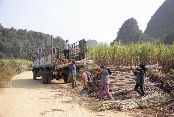 Thanh vien HDQT Mia duong Cao Bang bi phat do cham bao cao giao dich co phieu