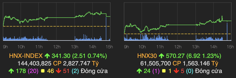 Co phieu nganh duoc phu sac tim, VN-Index tang gan 15 diem-Hinh-2