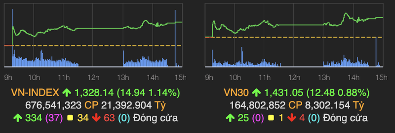 Co phieu nganh duoc phu sac tim, VN-Index tang gan 15 diem
