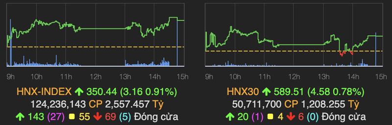 Ngan hang quay tro lai keo VN-Index tang 10 diem-Hinh-2