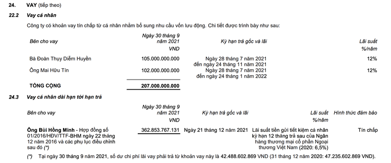 Ong Mai Huu Tin cho TTF muon 102 ty dong voi lai suat 12%/nam-Hinh-2