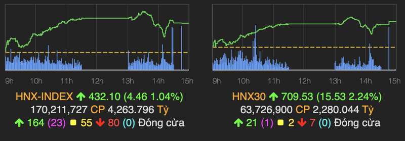 VN-Index dao chieu ngoan muc va tang 11 diem sau pha 'ru hang'-Hinh-2