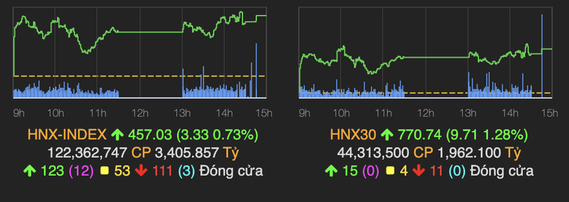 VN-Index giu sac xanh nho cac co phieu von hoa nho-Hinh-2