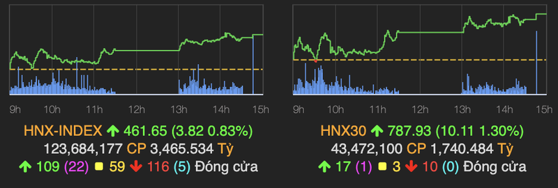 Nhom chung khoan bung no tro lai nhung VN-Index di ngang-Hinh-2