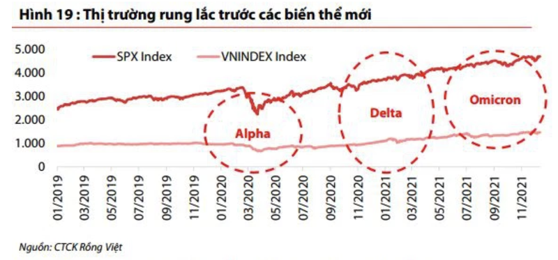 VN-Index nhay cam hon va leo len 1.730 diem trong nam 2022-Hinh-2