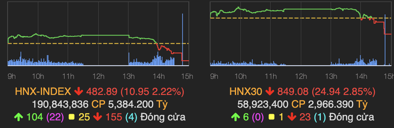 HoSE bi nghen lenh khi VN-Index do deo 25 diem, loat co phieu 'nong' bi chot loi-Hinh-2