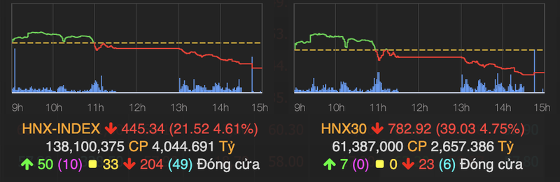 VN-Index giam sau 43 diem, thi truong co den 185 ma nam san-Hinh-2