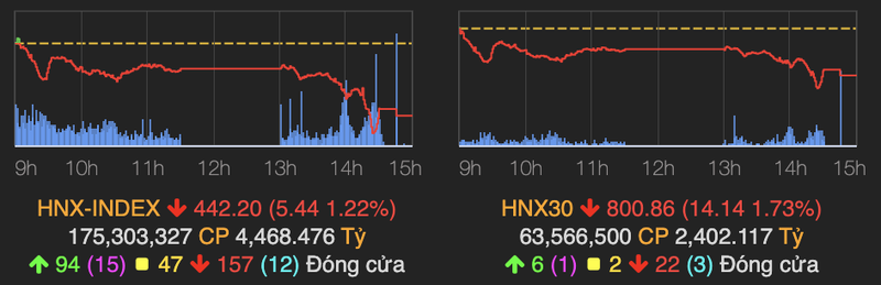 Thi truong chung khoan nhuom sac do, VN-Index giam manh 13 diem-Hinh-2