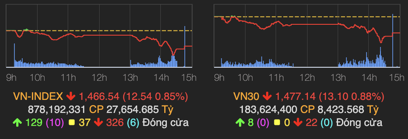 Thi truong chung khoan nhuom sac do, VN-Index giam manh 13 diem