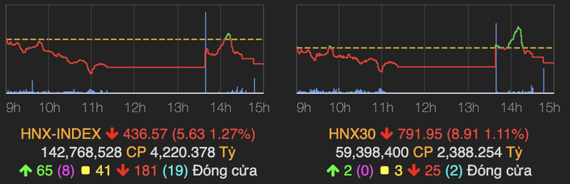 Nhom hang hoa bi chot loi nam san la liet, VN-Index giam 20 diem-Hinh-2