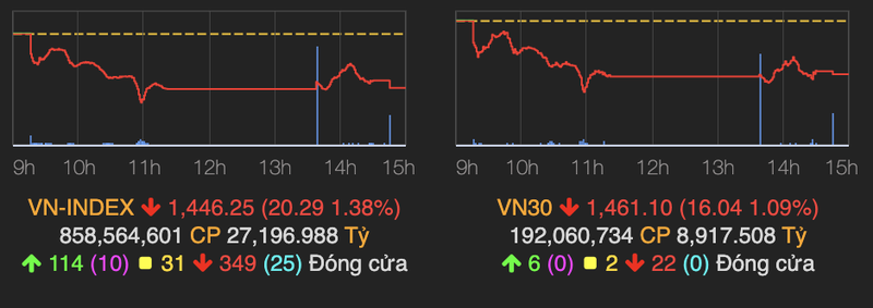 Nhom hang hoa bi chot loi nam san la liet, VN-Index giam 20 diem