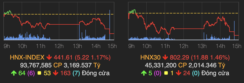 Luc ban manh xuat hien, VN-Index lao doc 20 diem ve cuoi phien-Hinh-2