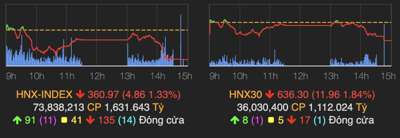 Thi truong tiep tuc chim trong sac do, VN30-Index giam sau 28 diem-Hinh-2