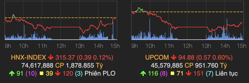 Dau khi, phan bon 'bung no' tro lai keo VN-Index tang 7 diem-Hinh-2