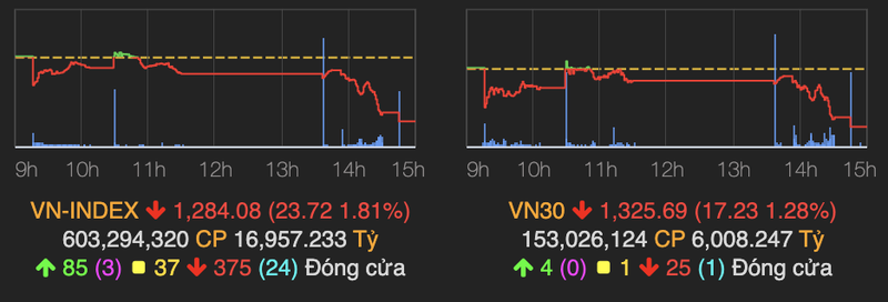 Thi truong bat ngo bi ban thao, VN-Index lao doc gan 24 diem phien 10/6