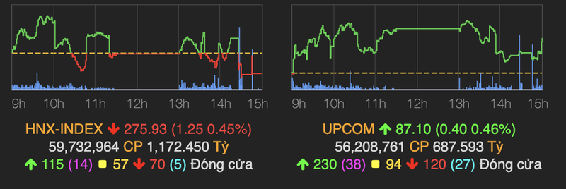 Chi so VN-Index ve muc thap nhat cuoi phien 24/6-Hinh-2