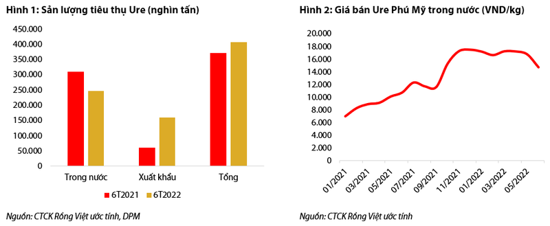 Co tuc tien mat la diem hap dan cua DPM trong giai doan 2022-2023