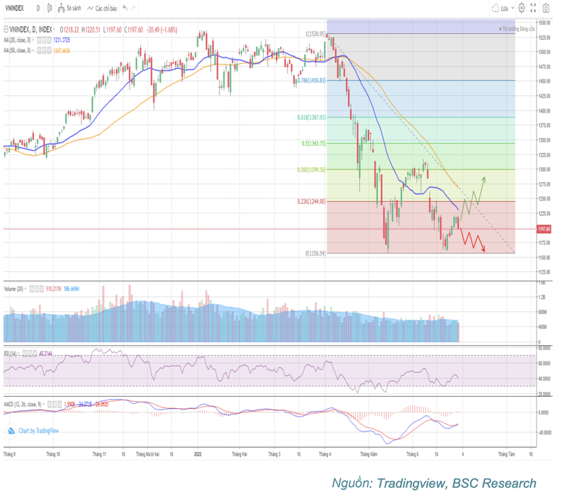 Nha dau tu nen giao dich nhung co phieu nao trong giai doan thi truong downtrend?