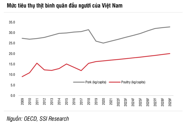 Nganh chan nuoi ky vong hoi phuc, du bao DBC cham muc 29.900 dong/co phieu-Hinh-2