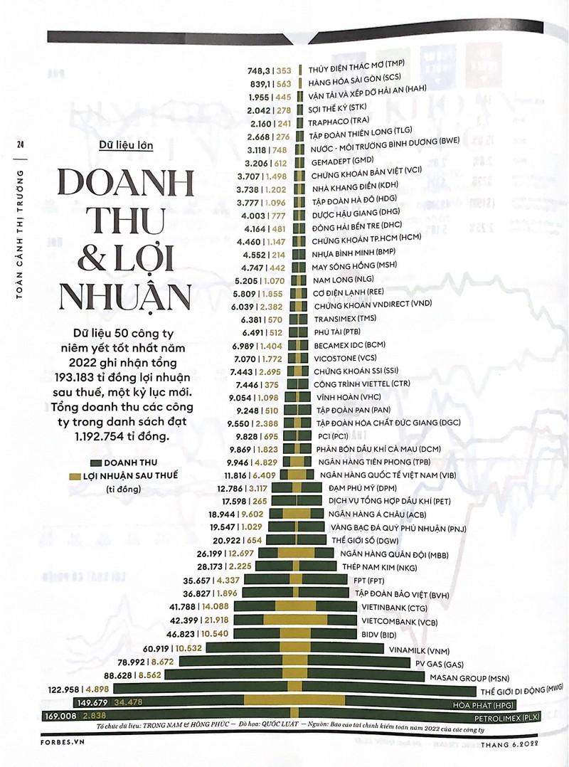 Diem danh 50 cong ty niem yet tot nhat nam 2022-Hinh-2