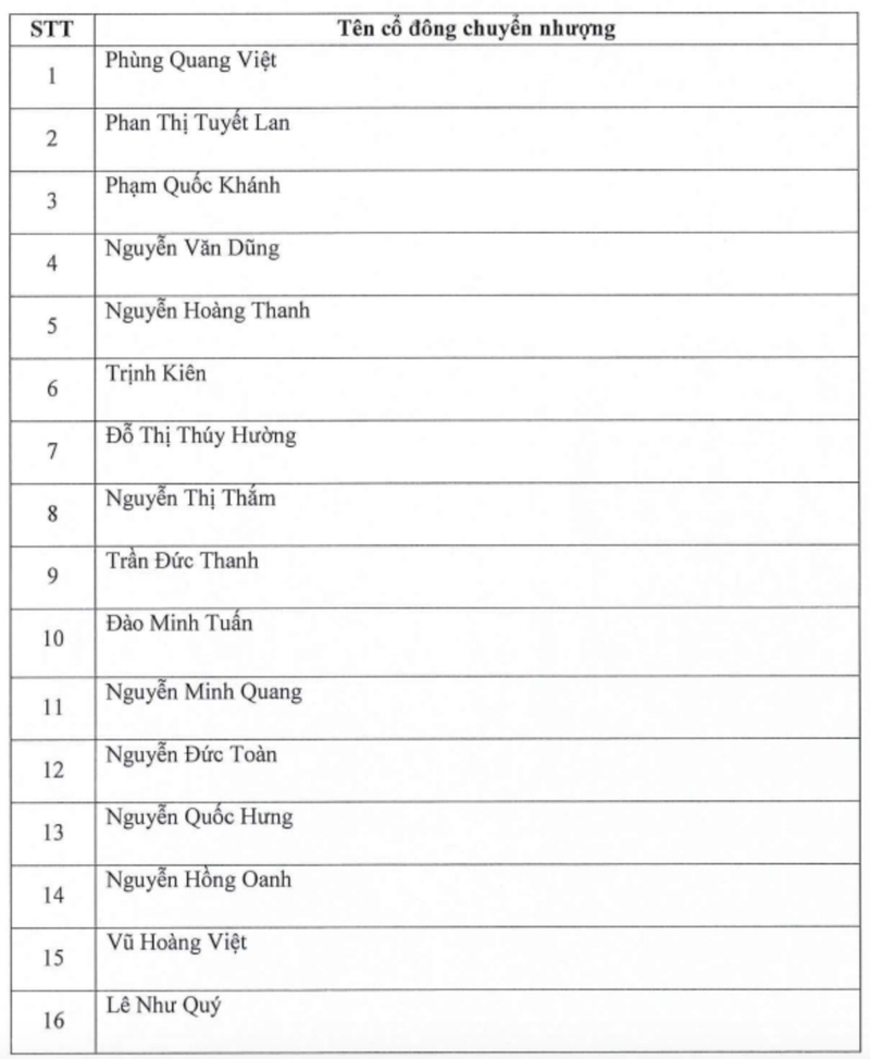 Lo dien dai gia chi 1.200 ty dong gom 88% von NVT chi trong 2 phien