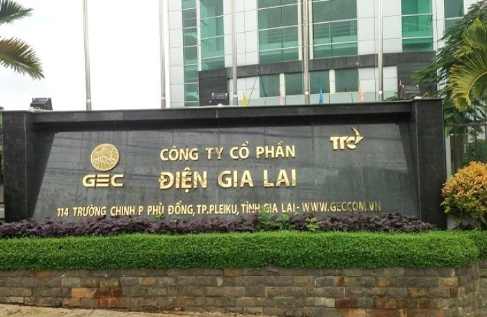 Dien Gia Lai du kien chao ban 64 trieu co phieu voi gia chiet khau 46%