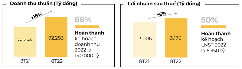 Doanh thu Bach Hoa Xanh trong thang 8 giam 20% so cung ky