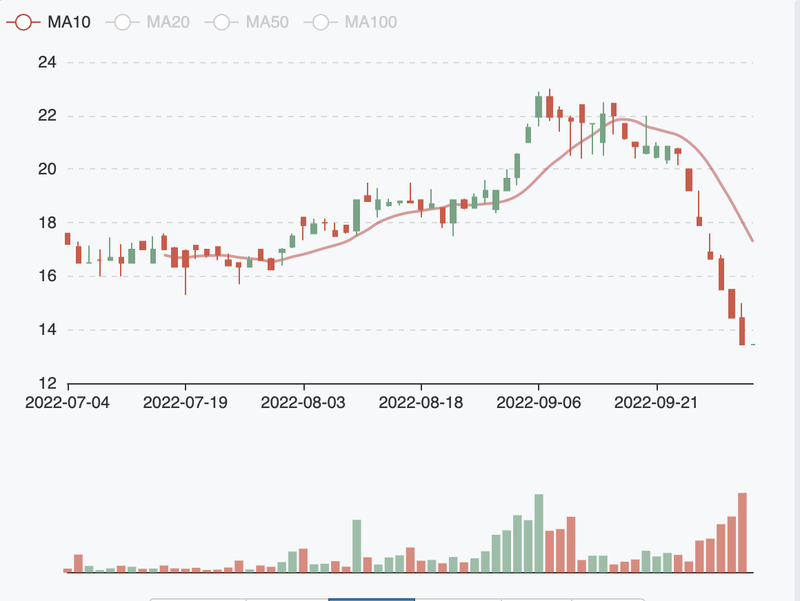 Gia tri von hoa boc hoi 3.000 ty dong, Dat Xanh Services noi gi?