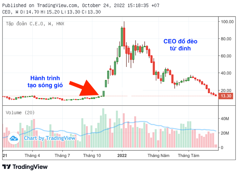 Duong ve menh gia cua co phieu CEO tu dinh hoang kim 100.000 dong