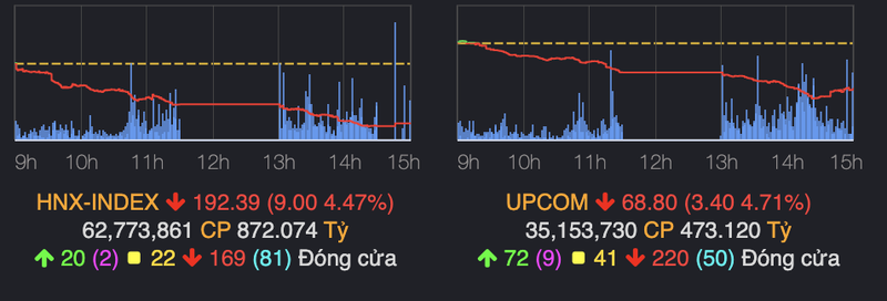 VN-Index thung moc 950, nha dau tu lan nua 'reo ten' chuyen gia La Giang Trung-Hinh-2