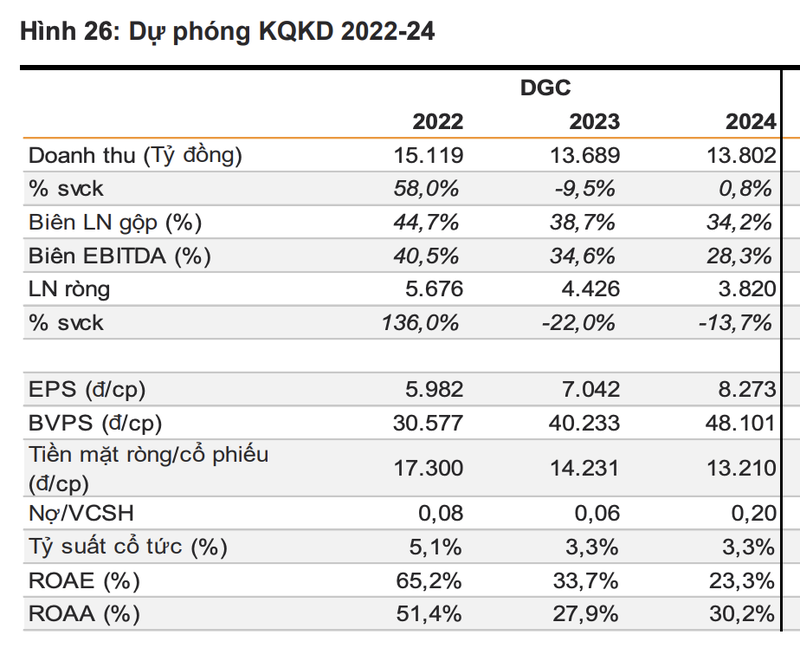 DGC: Lai rong quy 4 tiep tuc tang truong cham, du kien giam den 60% so voi dinh-Hinh-2