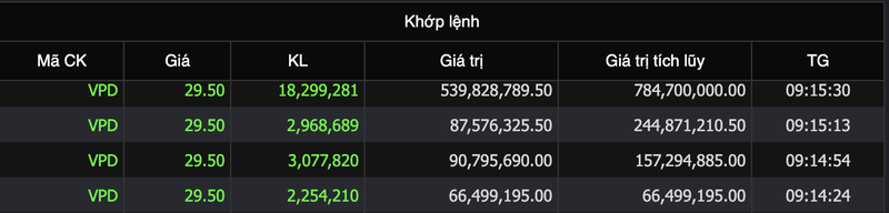 Doanh nghiep cua dai gia 8X Tran Tuan Loc da 'sang tay' von VPD cho khoi ngoai?