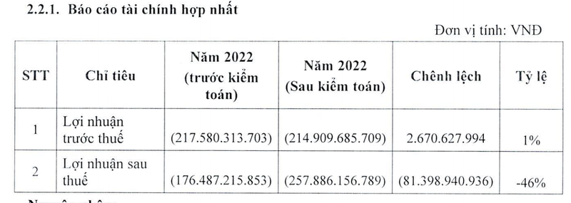 Tan Tao: Dieu chinh lo nang them 750 ty trong 2 nam sau kiem toan