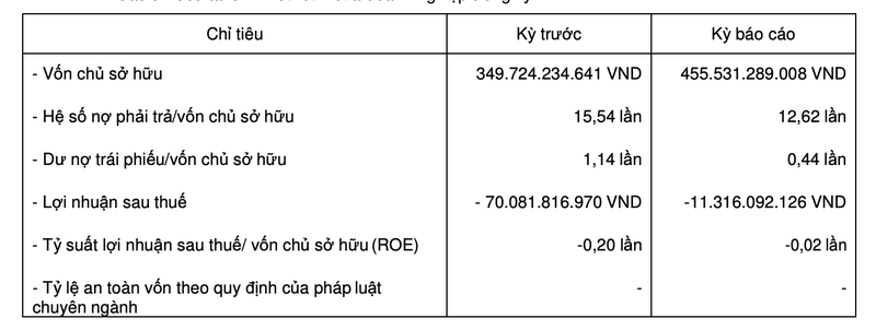 Dau tu Lucky House lo hon 11 ty dong, no gap 13 lan von chu so huu