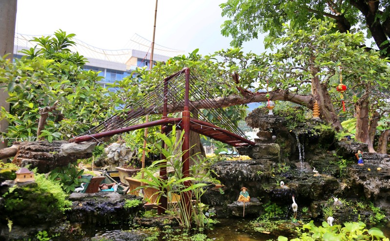 Oi bonsai doc nhat vo nhi gia tien ty khien dai gia Viet me man-Hinh-6