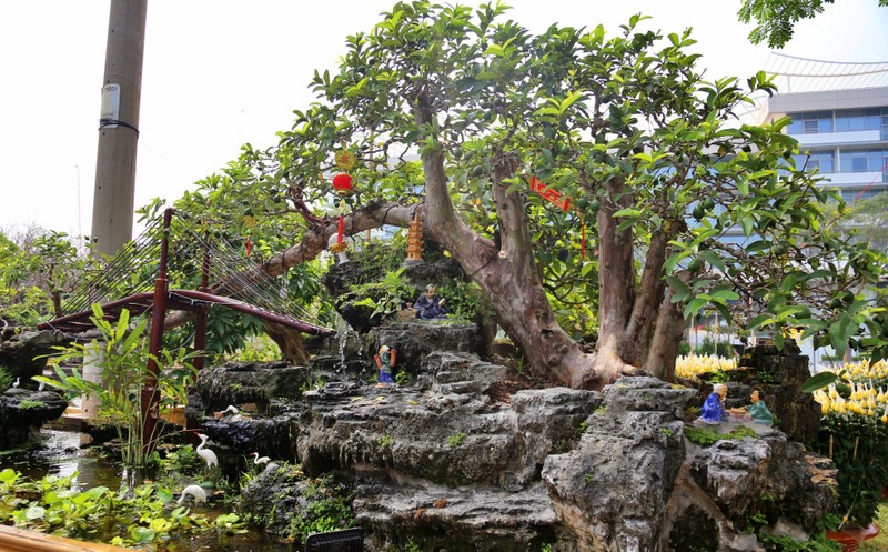 Oi bonsai doc nhat vo nhi gia tien ty khien dai gia Viet me man