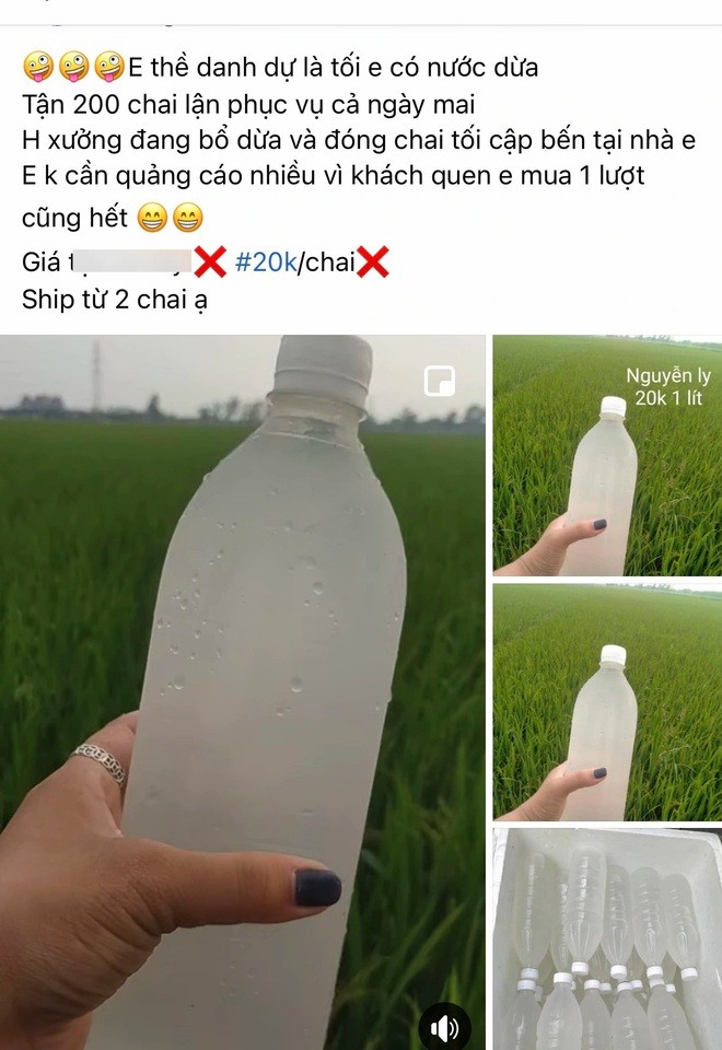 Nga ngua voi nuoc dua tuoi sieu re ban tran lan cho mang-Hinh-4