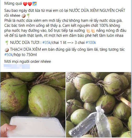 Nga ngua voi nuoc dua tuoi sieu re ban tran lan cho mang-Hinh-5