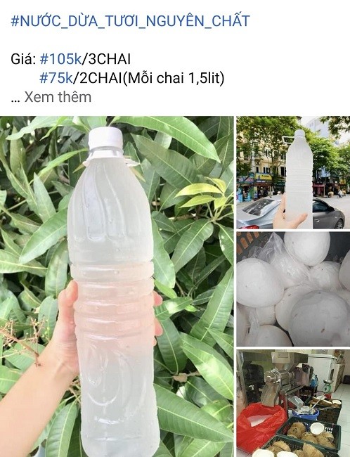 Nga ngua voi nuoc dua tuoi sieu re ban tran lan cho mang