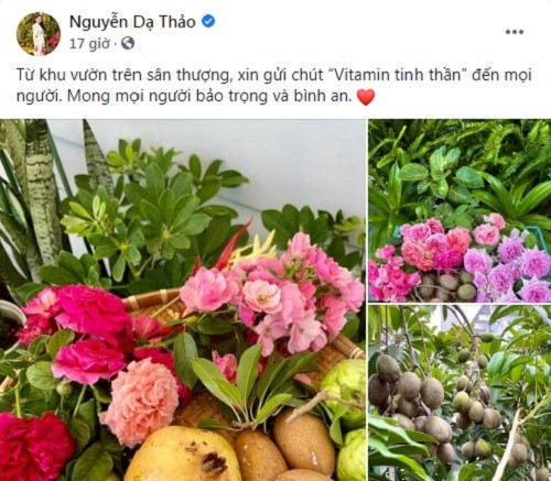 Ngam vuon trai cay triu qua trong biet thu cua Quyen Linh