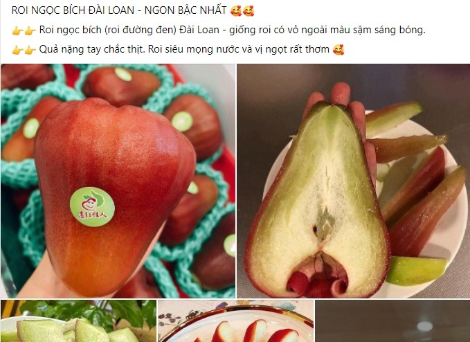 Roi ngoc bich Dai Loan gia dat do hut dan mang-Hinh-5