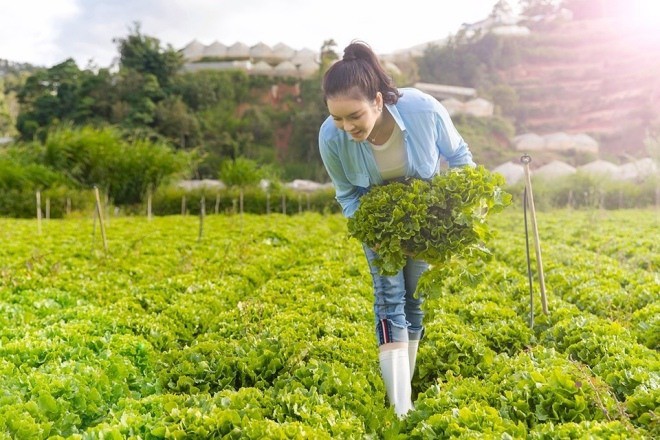 Ngam nha vuon rong menh mong o Da Lat cua dan sao Viet-Hinh-14