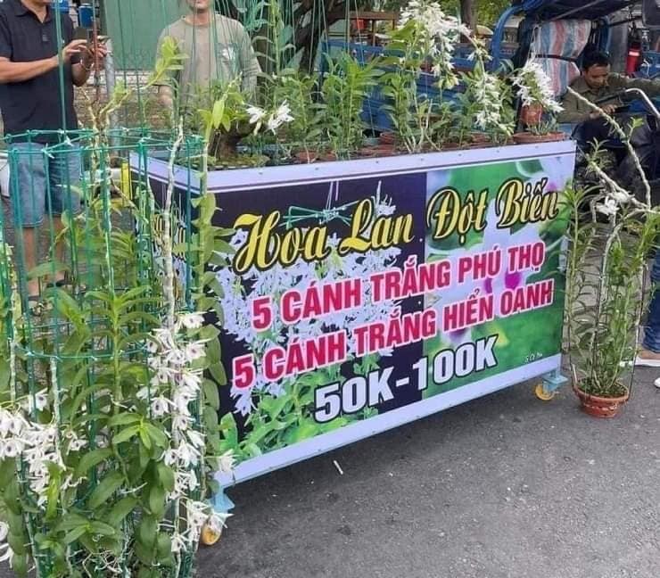 Lan dot bien tung dat co nao truoc khi het thoi e am 50.000 dong?-Hinh-2