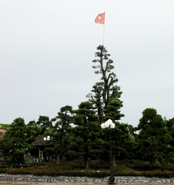 Truoc khi 'nga ngua', cac dai gia da bao tay vung tien nhu nao?-Hinh-2