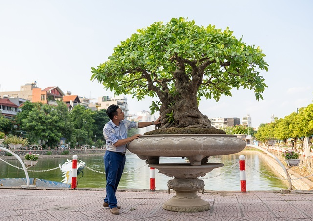 Can canh cay loc vung 'ngu phuc' tien ty o Ha Noi-Hinh-5