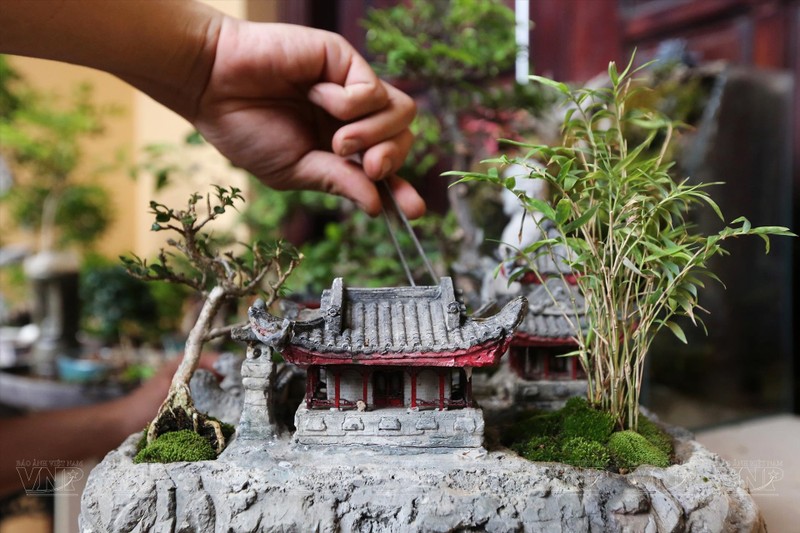 Loat co dai duoc bien thanh nhung chau bonsai day nghe thuat-Hinh-2