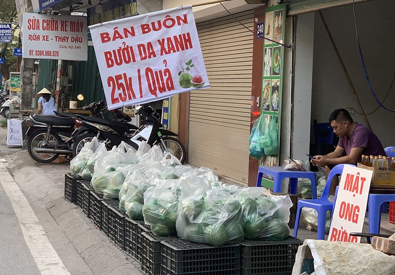 Bat ngo buoi “dac san” gia “re hon rau” do bi thi truong Viet-Hinh-7