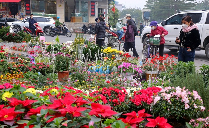 Danh sach 5 cho hoa Tet noi tieng o Ha Noi-Hinh-11