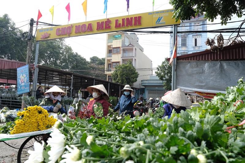 Danh sach 5 cho hoa Tet noi tieng o Ha Noi-Hinh-14